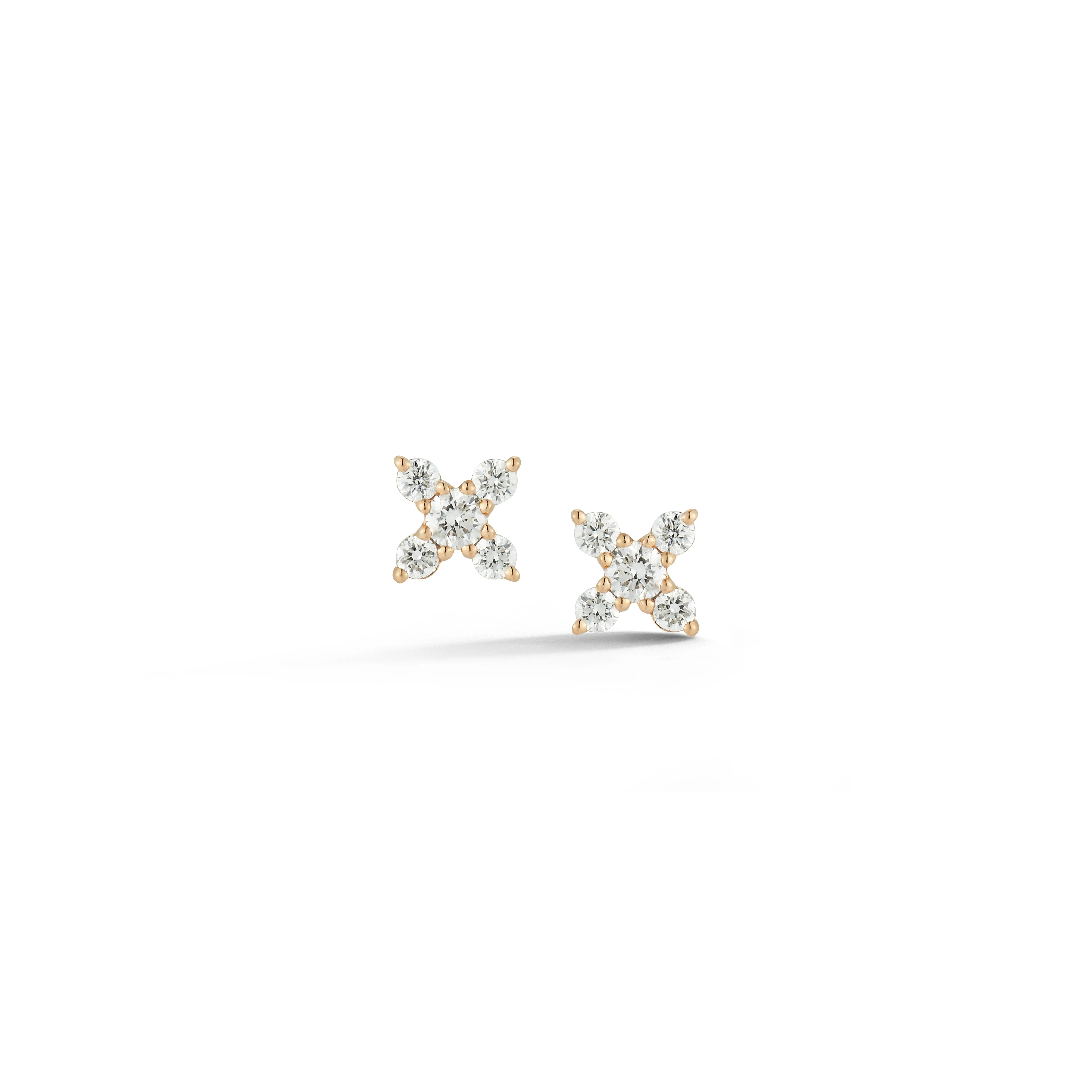 Ava Bea X Studs