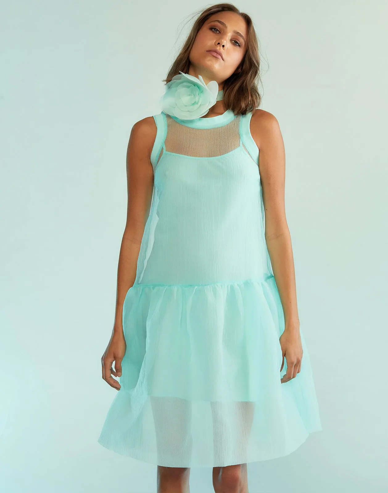 Chloe Organza Dress