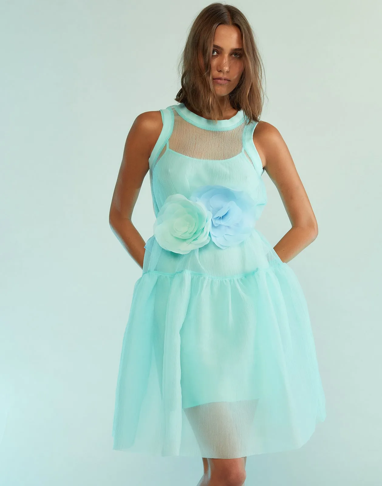 Chloe Organza Dress