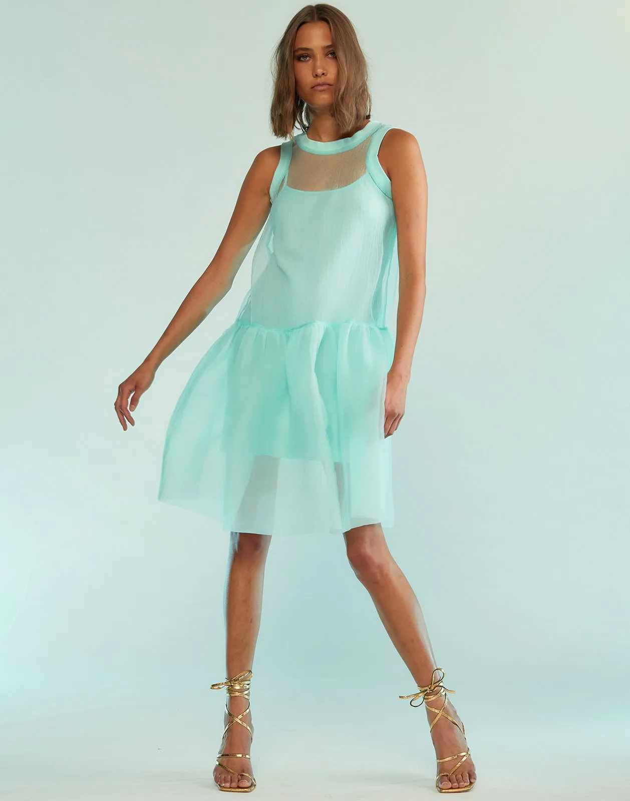 Chloe Organza Dress