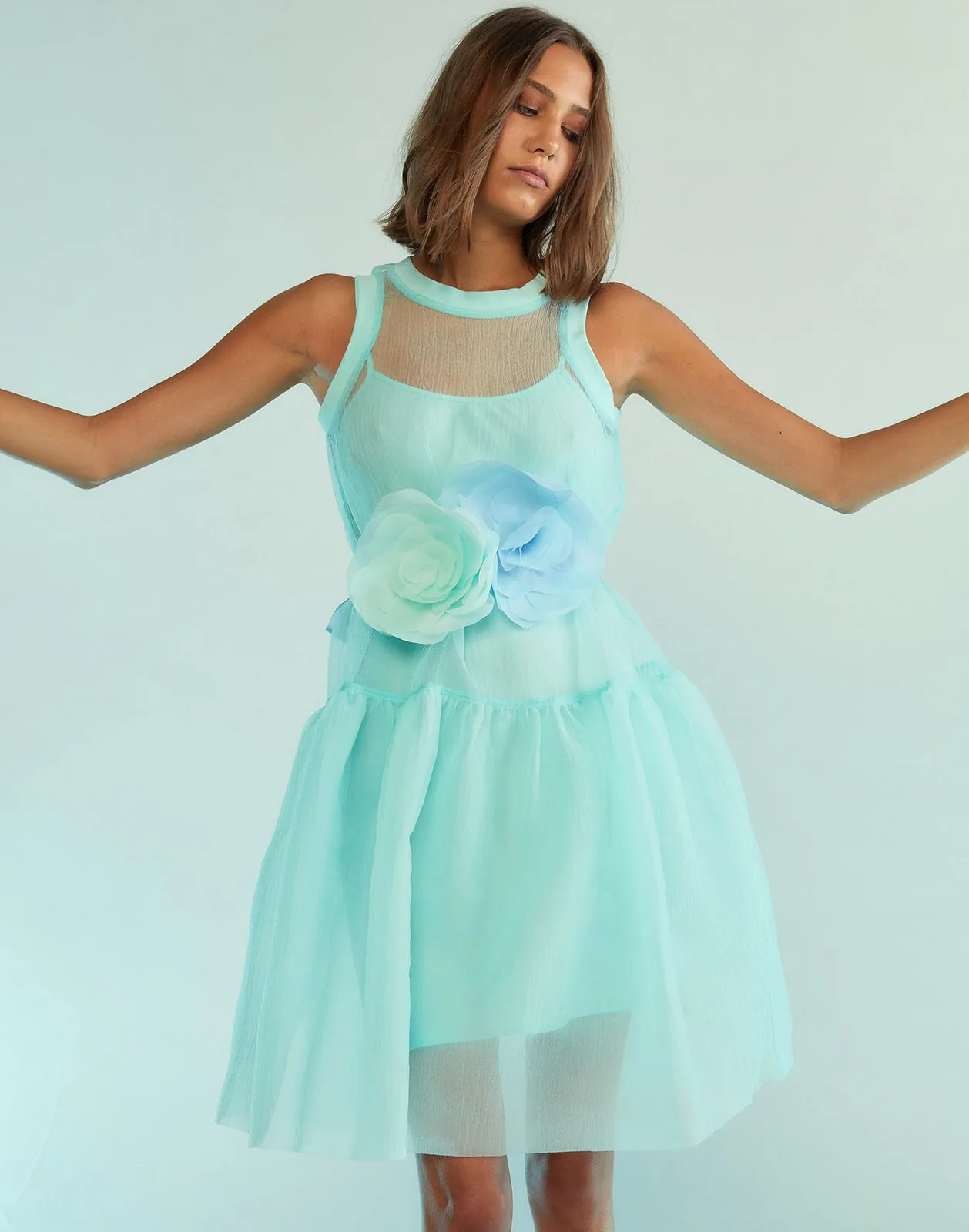 Chloe Organza Dress