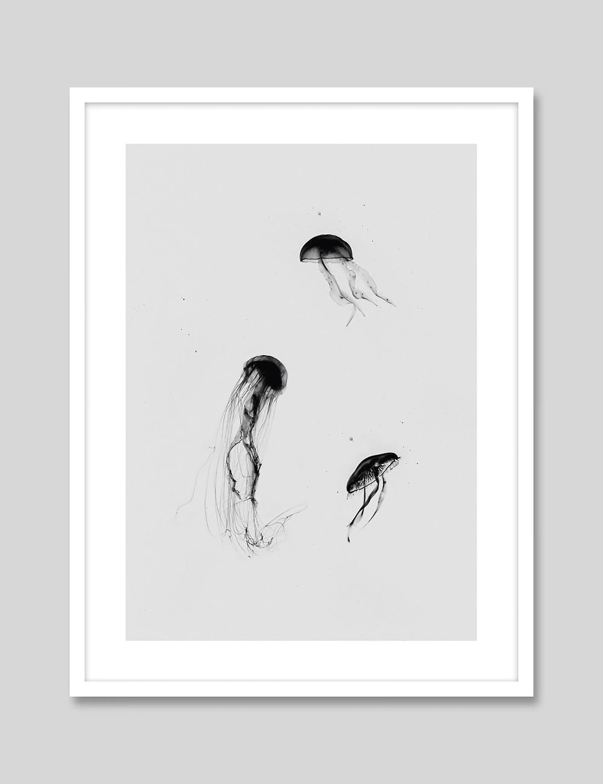 Dancing Jellyfish