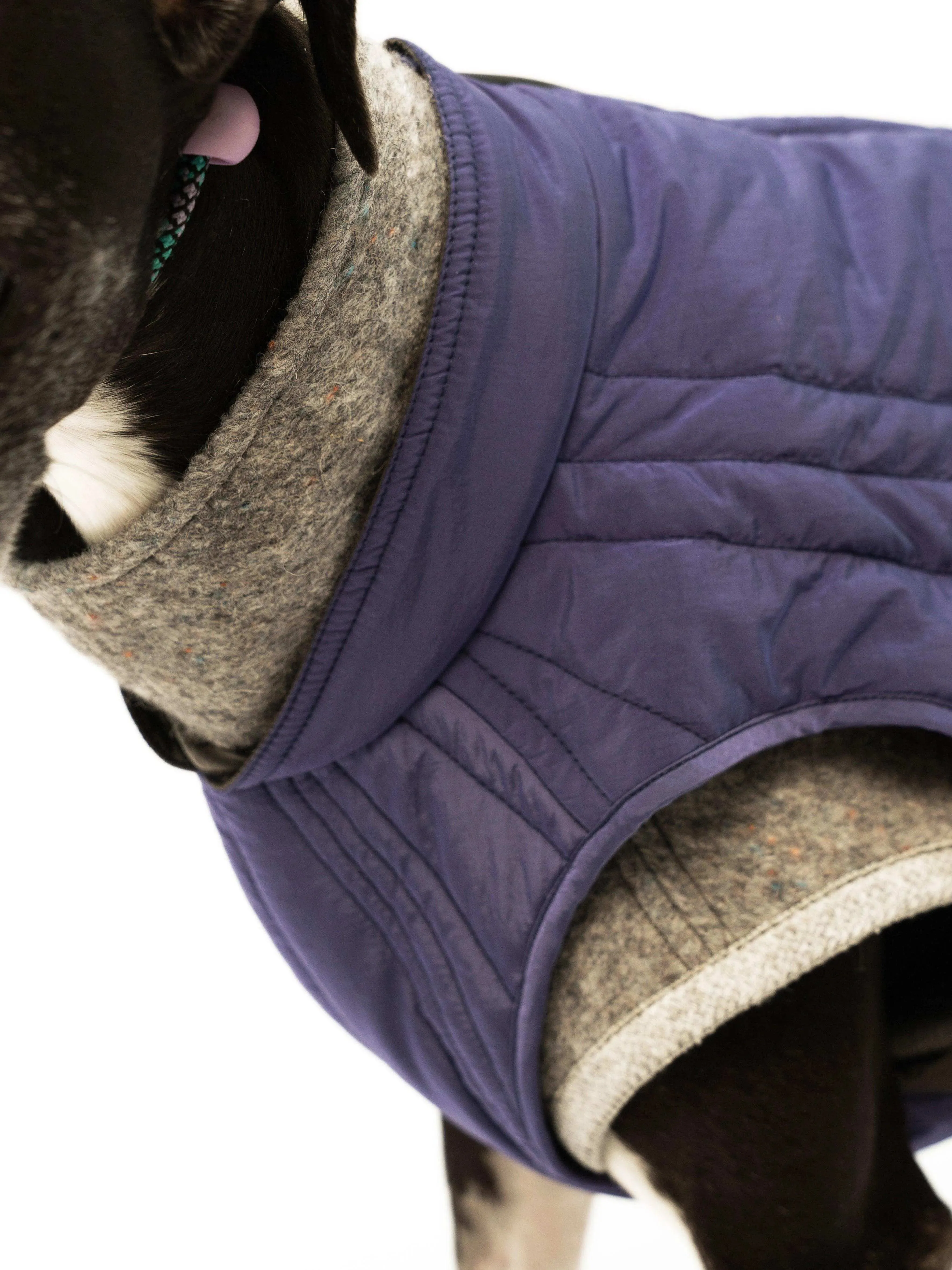 WeatherFlex Insulated Dog Jacket