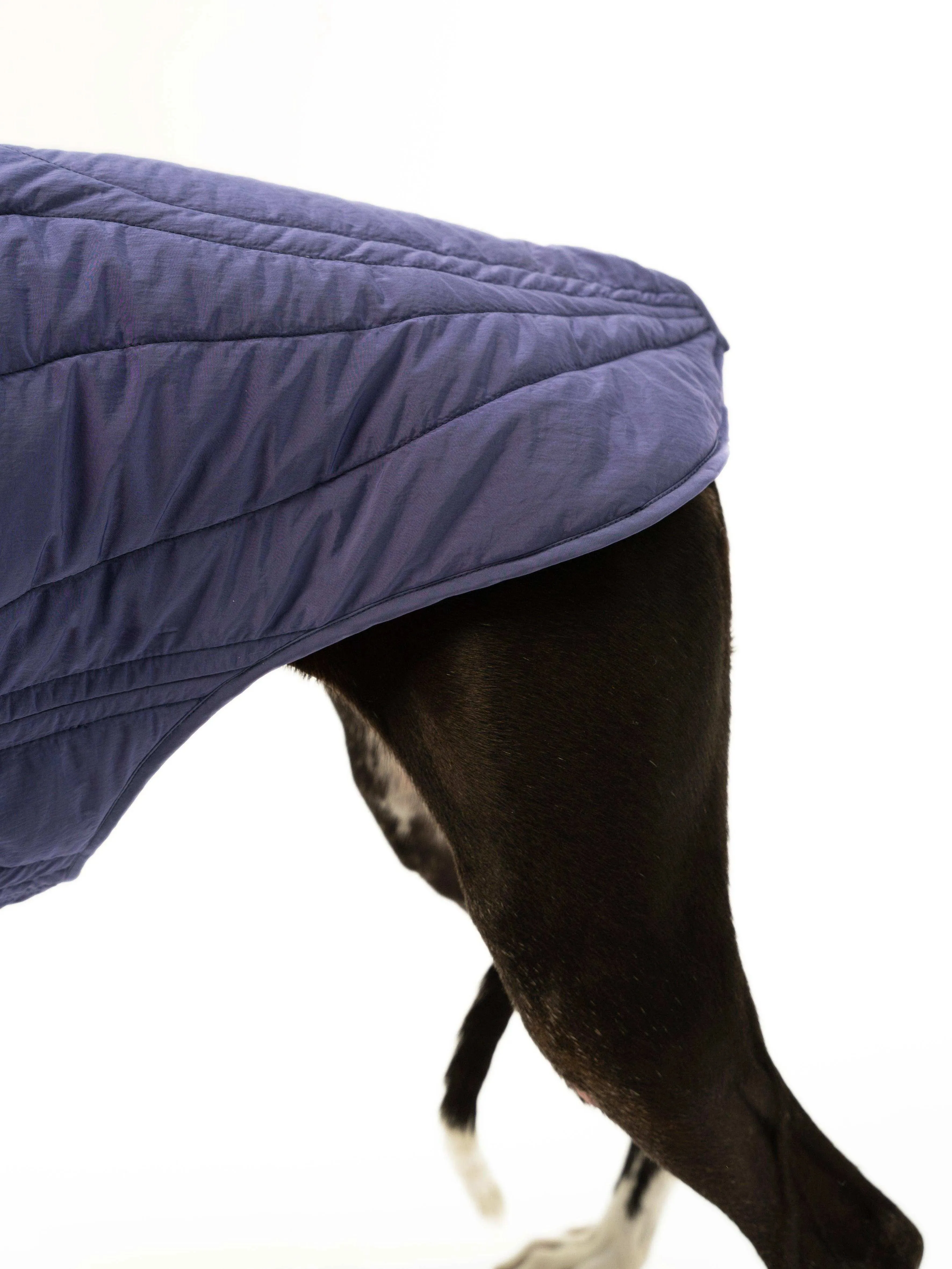 WeatherFlex Insulated Dog Jacket