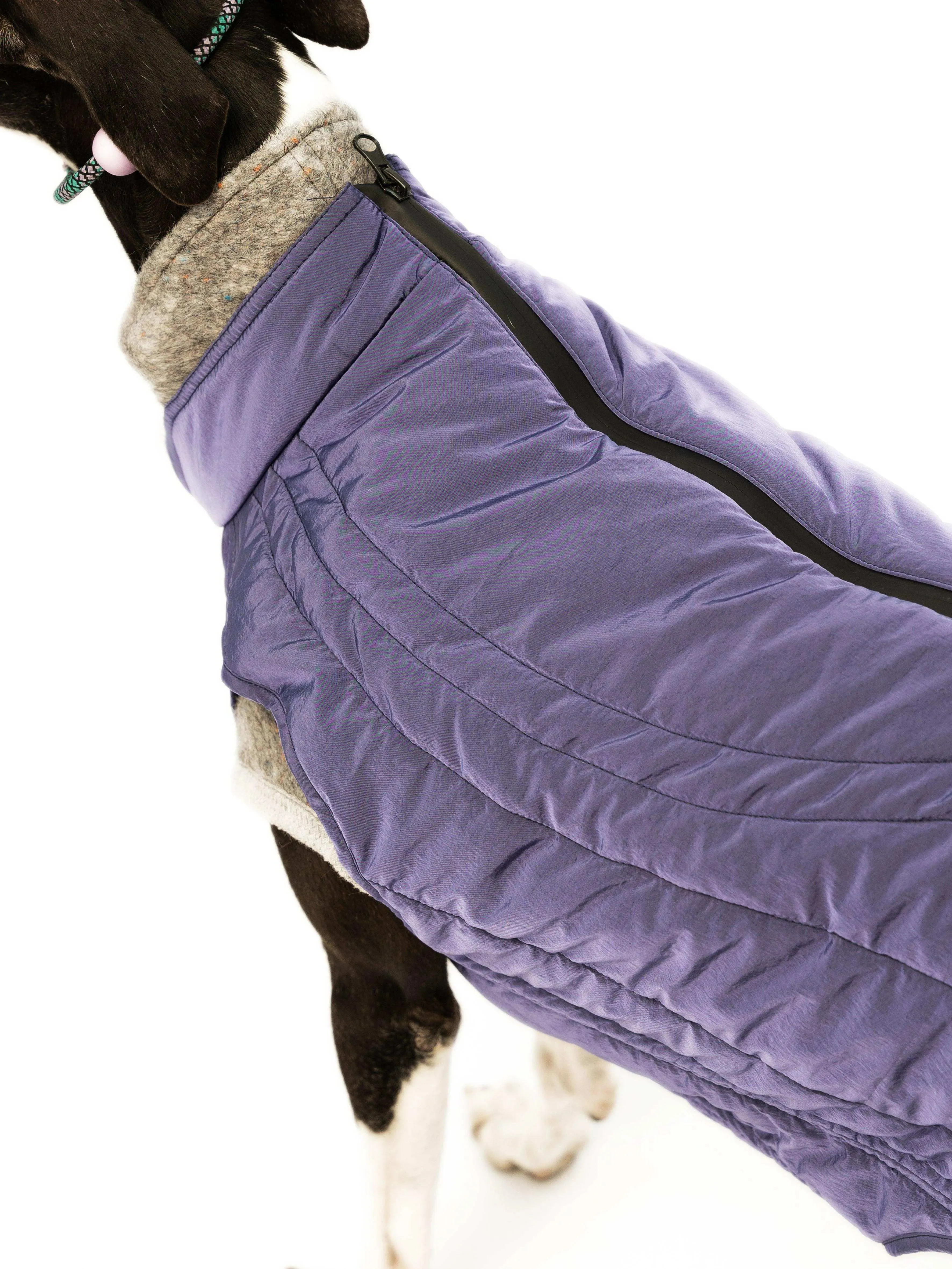 WeatherFlex Insulated Dog Jacket